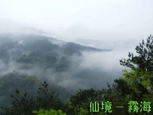 /DJGIMG/Upload/201412301651166Nx2Kq.jpg