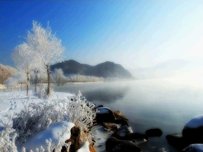 /DJGIMG/Upload/201501221250297Tk2Vp.jpg