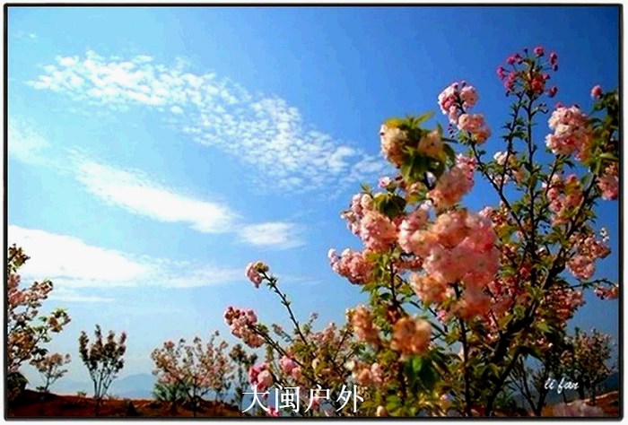 /DJGIMG/Upload/201503222337333Ok1Cz.jpg