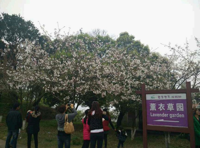 /DJGIMG/Upload/201503222357390Oo4Yu.jpg