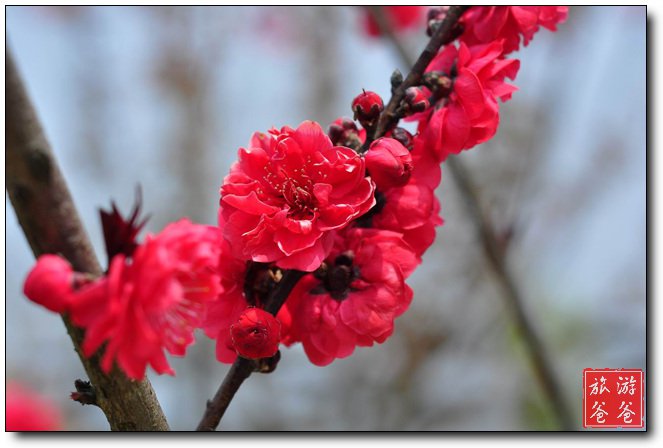 /DJGIMG/Upload/201503241406014Wy7Td.jpg