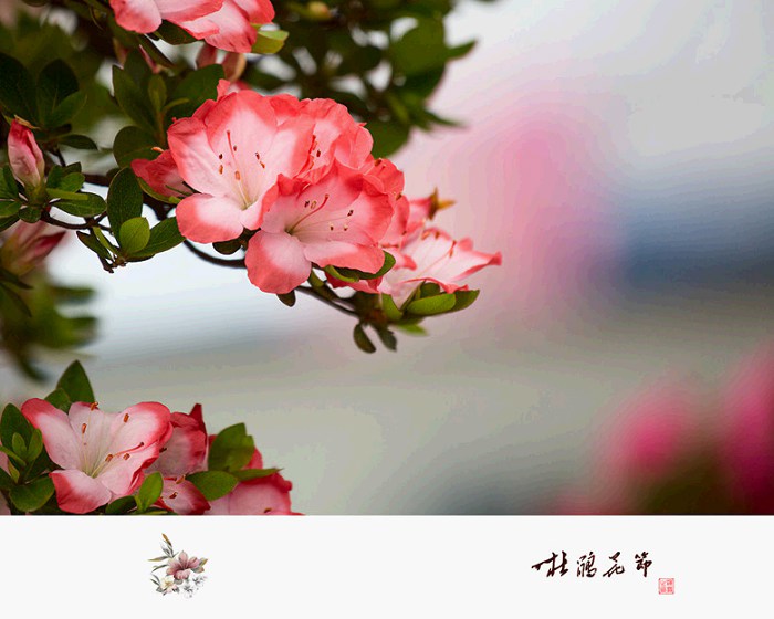 /DJGIMG/Upload/201504221308185Ue4Df.jpg