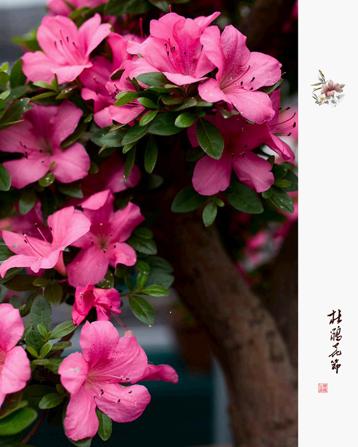 /DJGIMG/Upload/201504221308249Eq5Mq.jpg
