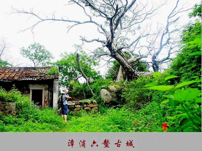 /DJGIMG/Upload/201504241529322In7Dp.jpg