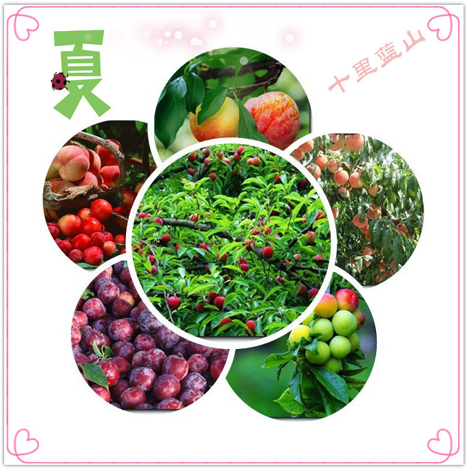 /DJGIMG/Upload/201505111607344Wc1Qa.jpg
