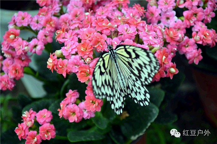 /DJGIMG/Upload/201506040726232Ib2Id.jpg