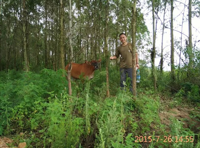 /UpFile/2015/7/28/201507280921222Im6Sn.jpg