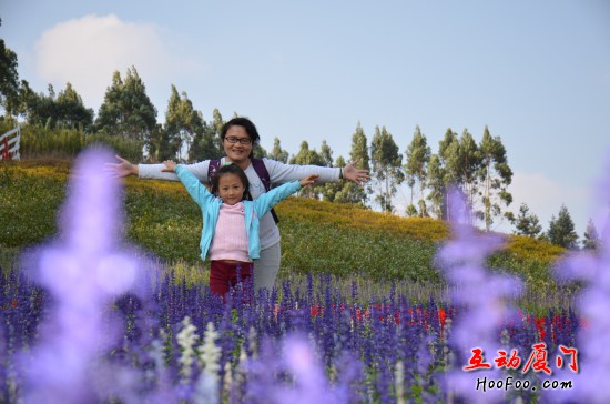 /UpFile/2016/12/19/201612191626052Qq0Jv.jpg