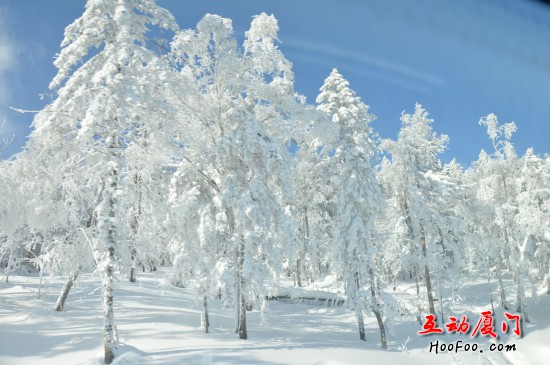 /UpFile/2016/12/21/201612211028374Rf4Be.jpg
