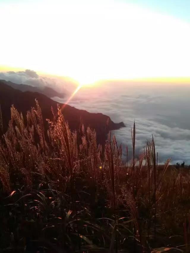 /UpFile/2017/7/7/201707071205533Hk7Co.jpg