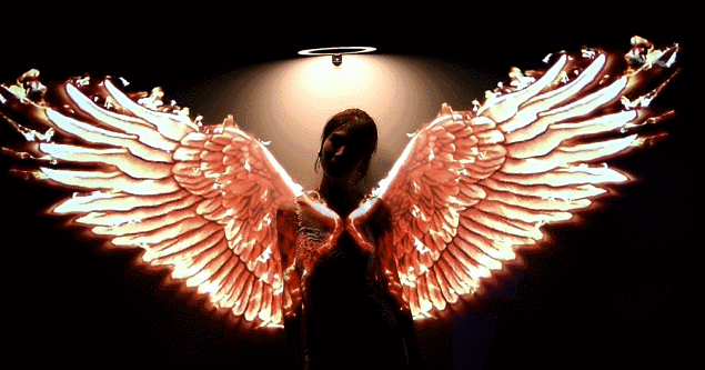 /UpFile/2019/6/28/201906281510204Py3Hh.gif