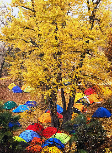 /Upload/201210261127578Od6Tc.jpg