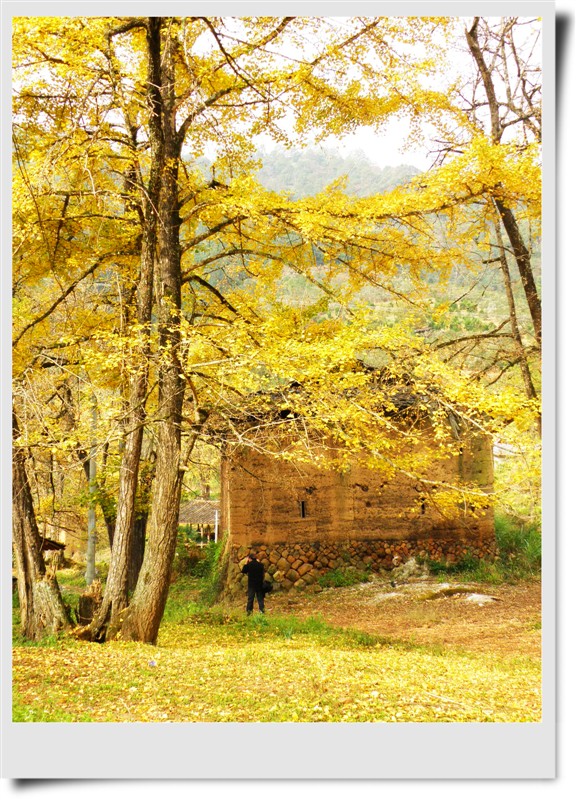 /Upload/201210261128136Gd5Tk.jpg