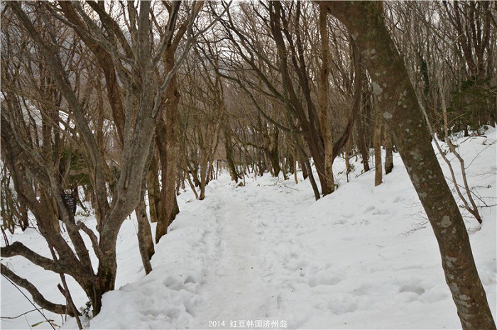 /Upload/201412132149242Pk8Mr.jpg